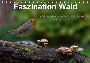 Faszination Wald. Waldimpressionen aus Nordhessen von Lutz Klapp (Tischkalender 2019 DIN A5 quer) von Klapp,  Lutz