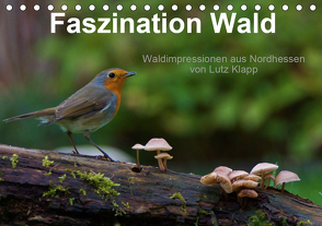 Faszination Wald. Waldimpressionen aus Nordhessen von Lutz Klapp (Tischkalender 2020 DIN A5 quer) von Klapp,  Lutz