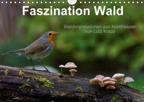 Faszination Wald. Waldimpressionen aus Nordhessen von Lutz Klapp (Wandkalender 2018 DIN A4 quer) von Klapp,  Lutz