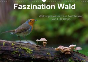 Faszination Wald. Waldimpressionen aus Nordhessen von Lutz Klapp (Wandkalender 2020 DIN A3 quer) von Klapp,  Lutz