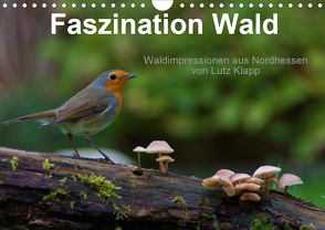 Faszination Wald. Waldimpressionen aus Nordhessen von Lutz Klapp (Wandkalender 2020 DIN A4 quer) von Klapp,  Lutz