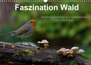 Faszination Wald. Waldimpressionen aus Nordhessen von Lutz Klapp (Wandkalender 2022 DIN A3 quer) von Klapp,  Lutz