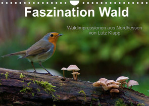 Faszination Wald. Waldimpressionen aus Nordhessen von Lutz Klapp (Wandkalender 2022 DIN A4 quer) von Klapp,  Lutz