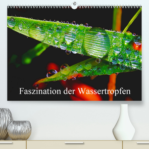 Faszination Wassertropfen (Premium, hochwertiger DIN A2 Wandkalender 2021, Kunstdruck in Hochglanz) von Fotogalerie,  Michis