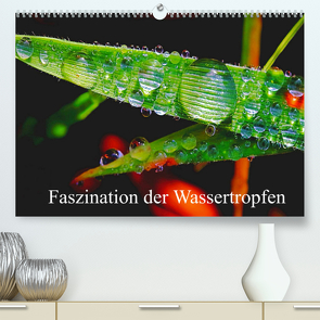 Faszination Wassertropfen (Premium, hochwertiger DIN A2 Wandkalender 2022, Kunstdruck in Hochglanz) von Fotogalerie,  Michis