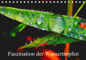 Faszination Wassertropfen (Tischkalender 2021 DIN A5 quer) von Fotogalerie,  Michis