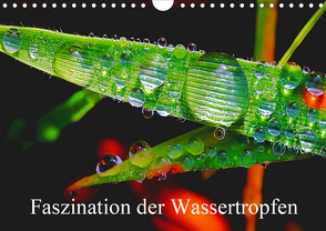 Faszination Wassertropfen (Wandkalender 2021 DIN A4 quer) von Fotogalerie,  Michis