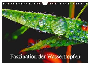 Faszination Wassertropfen (Wandkalender 2024 DIN A4 quer), CALVENDO Monatskalender von Fotogalerie,  Michis