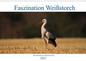 Faszination Weißstorch (Wandkalender 2022 DIN A3 quer) von Eitzenberger,  Anja