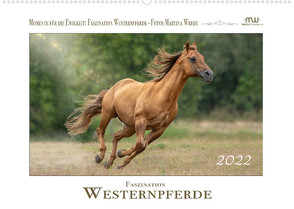 Faszination Westernpferde (Wandkalender 2022 DIN A2 quer) von Wrede - Wredefotografie,  Martina