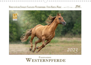 Faszination Westernpferde (Wandkalender 2023 DIN A3 quer) von Wrede - Wredefotografie,  Martina