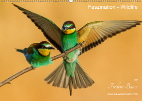 Faszination – Wildlife (Wandkalender 2019 DIN A2 quer) von Bauer,  Frederic