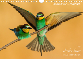 Faszination – Wildlife (Wandkalender 2020 DIN A4 quer) von Bauer,  Frederic