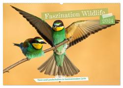 Faszination Wildlife (Wandkalender 2024 DIN A2 quer), CALVENDO Monatskalender von Bauer,  Frederic
