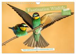 Faszination Wildlife (Wandkalender 2024 DIN A4 quer), CALVENDO Monatskalender von Bauer,  Frederic