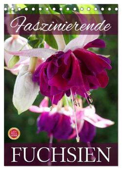 Faszinierende Fuchsien (Tischkalender 2024 DIN A5 hoch), CALVENDO Monatskalender von Cross,  Martina