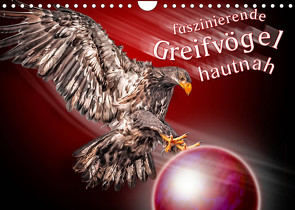 Faszinierende Greifvögel hautnah (Wandkalender 2022 DIN A4 quer) von Gödecke,  Dieter