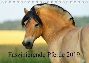 Faszinierende Pferde 2019 (Tischkalender 2019 DIN A5 quer) von Ludwig,  Sandra