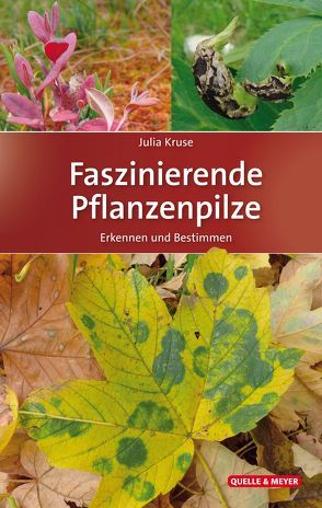 Faszinierende Pflanzenpilze von Kruse,  Julia