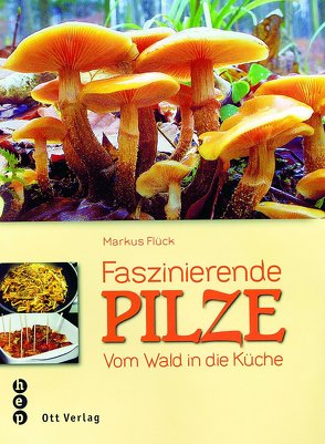 Faszinierende Pilze von Flück,  Markus