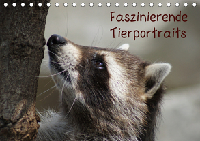 Faszinierende Tierportraits (Tischkalender 2020 DIN A5 quer) von kattobello