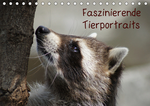 Faszinierende Tierportraits (Tischkalender 2021 DIN A5 quer) von kattobello