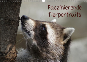 Faszinierende Tierportraits (Wandkalender 2020 DIN A3 quer) von kattobello