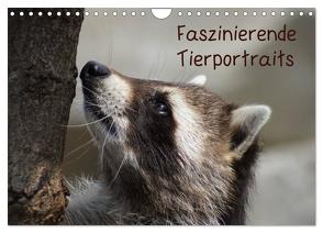 Faszinierende Tierportraits (Wandkalender 2024 DIN A4 quer), CALVENDO Monatskalender von Kattobello,  Kattobello