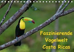 Faszinierende Vogelwelt Costa Ricas (Tischkalender immerwährend DIN A5 quer) von Dummermuth,  Stefan