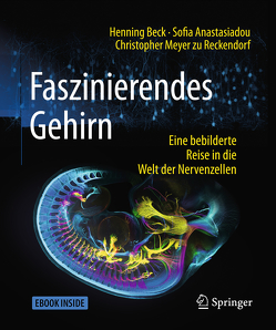 Faszinierendes Gehirn von Anastasiadou,  Sofia, Beck,  Henning, Meyer zu Reckendorf,  Christopher