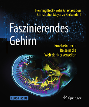 Faszinierendes Gehirn von Anastasiadou,  Sofia, Beck,  Henning, Meyer zu Reckendorf,  Christopher