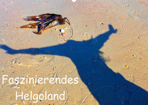 Faszinierendes Helgoland (Wandkalender 2022 DIN A2 quer) von Raab,  Karsten-Thilo