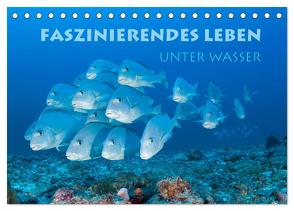 Faszinierendes Leben unter Wasser (Tischkalender 2024 DIN A5 quer), CALVENDO Monatskalender von Peyer,  Stephan