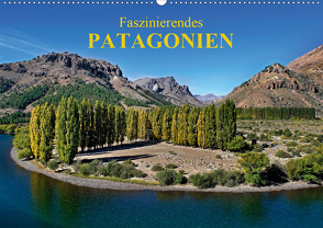 Faszinierendes Patagonien (Wandkalender 2021 DIN A2 quer) von Zillich,  Bernd