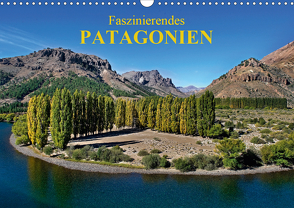 Faszinierendes Patagonien (Wandkalender 2021 DIN A3 quer) von Zillich,  Bernd