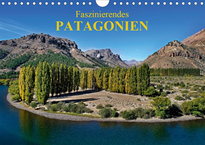 Faszinierendes Patagonien (Wandkalender 2021 DIN A4 quer) von Zillich,  Bernd