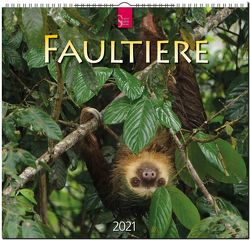 Faultiere