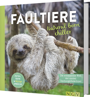 Faultiere – Natural born chiller