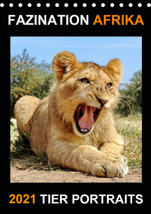 FAZINATION AFRIKA TIER PORTRAITS (Tischkalender 2021 DIN A5 hoch) von Fraatz,  Barbara