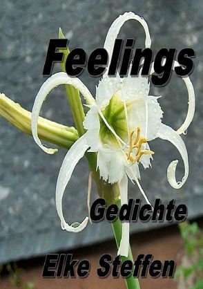 Feelings Gedichte von Steffen,  Elke