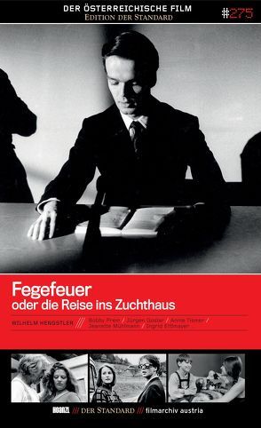 Fegefeuer oder die Reise ins Zuchthaus von Hengstler,  Wilhelm