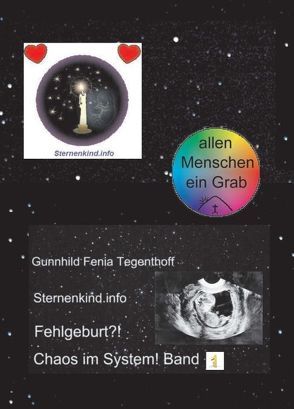 Fehlgeburt? Chaos im System! Band 1 von Sternenkind.info,  Gunnhild Fenia Tegenthoff