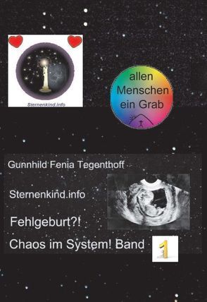 Fehlgeburt? Chaos im System! Band 1 von Sternenkind.info,  Gunnhild Fenia Tegenthoff