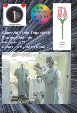 Fehlgeburt? Chaos im System! Band 2 von Sternenkind.info,  Gunnhild Fenia Tegenthoff