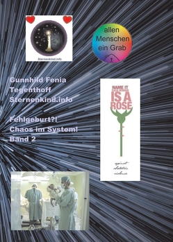 Fehlgeburt? Chaos im System! Band 2 von Sternenkind.info,  Gunnhild Fenia Tegenthoff