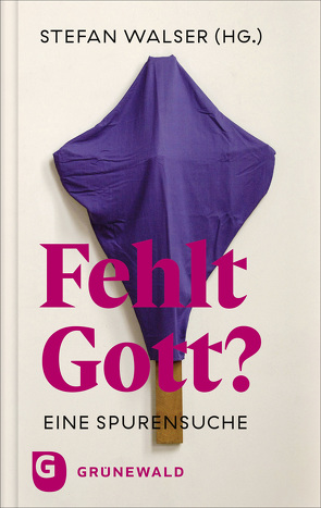 Fehlt Gott? von Walser,  Stefan