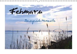 Fehmarn – Bewegende Momente (Wandkalender 2019 DIN A3 quer) von Giesecke,  Petra