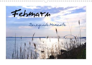 Fehmarn – Bewegende Momente (Wandkalender 2022 DIN A3 quer) von Giesecke,  Petra