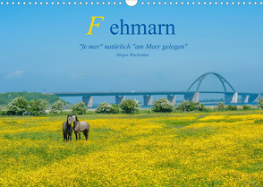 Fehmarn – „fe mer“ natürlich „am Meer gelegen“ (Wandkalender 2022 DIN A3 quer) von Wackenhut,  Jürgen
