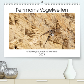 Fehmarn Vogelwelten (Premium, hochwertiger DIN A2 Wandkalender 2023, Kunstdruck in Hochglanz) von Ströder,  Holger